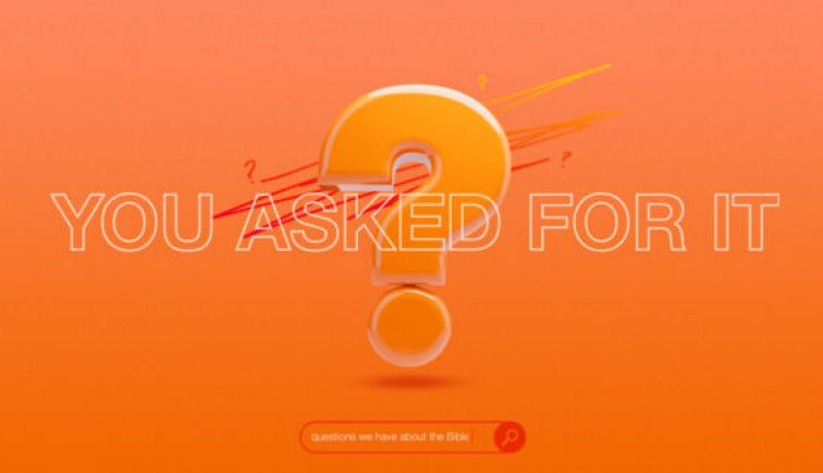 You-Asked-For-It-576x324